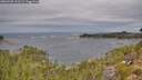 ./images/calvert/foggy-cove/20260920/foggy-cove20260920_111502M.jpg