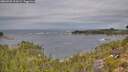 ./images/calvert/foggy-cove/20260920/foggy-cove20260920_112001M.jpg