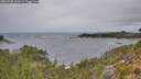 ./images/calvert/foggy-cove/20260920/foggy-cove20260920_115001M.jpg