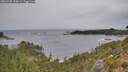 ./images/calvert/foggy-cove/20260920/foggy-cove20260920_120001M.jpg