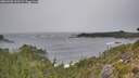 ./images/calvert/foggy-cove/20260920/foggy-cove20260920_130501M.jpg