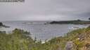 ./images/calvert/foggy-cove/20260920/foggy-cove20260920_153001M.jpg