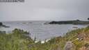 ./images/calvert/foggy-cove/20260920/foggy-cove20260920_154501M.jpg
