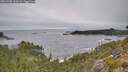 ./images/calvert/foggy-cove/20260920/foggy-cove20260920_163501M.jpg