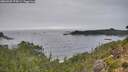 ./images/calvert/foggy-cove/20260920/foggy-cove20260920_174501M.jpg
