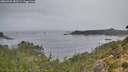 ./images/calvert/foggy-cove/20260920/foggy-cove20260920_185501M.jpg