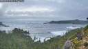 ./images/calvert/foggy-cove/20260921/foggy-cove20260921_074501M.jpg