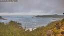 ./images/calvert/foggy-cove/20260921/foggy-cove20260921_082501M.jpg