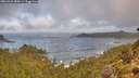 ./images/calvert/foggy-cove/20260921/foggy-cove20260921_084501M.jpg