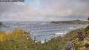 ./images/calvert/foggy-cove/20260921/foggy-cove20260921_085501M.jpg
