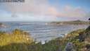 ./images/calvert/foggy-cove/20260921/foggy-cove20260921_091001M.jpg