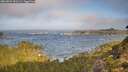 ./images/calvert/foggy-cove/20260921/foggy-cove20260921_091501M.jpg