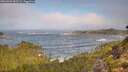 ./images/calvert/foggy-cove/20260921/foggy-cove20260921_092502M.jpg