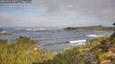 ./images/calvert/foggy-cove/20260921/foggy-cove20260921_095501M.jpg