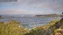 ./images/calvert/foggy-cove/20260921/foggy-cove20260921_100001M.jpg