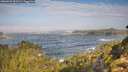 ./images/calvert/foggy-cove/20260921/foggy-cove20260921_101501M.jpg