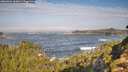./images/calvert/foggy-cove/20260921/foggy-cove20260921_102001M.jpg