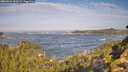 ./images/calvert/foggy-cove/20260921/foggy-cove20260921_102501M.jpg