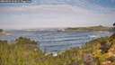 ./images/calvert/foggy-cove/20260921/foggy-cove20260921_103001M.jpg