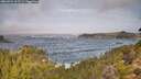 ./images/calvert/foggy-cove/20260921/foggy-cove20260921_103502M.jpg
