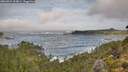./images/calvert/foggy-cove/20260921/foggy-cove20260921_104001M.jpg