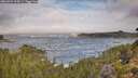 ./images/calvert/foggy-cove/20260921/foggy-cove20260921_104501M.jpg