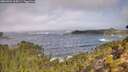 ./images/calvert/foggy-cove/20260921/foggy-cove20260921_105001M.jpg
