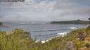 ./images/calvert/foggy-cove/20260921/foggy-cove20260921_105501M.jpg