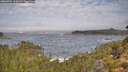 ./images/calvert/foggy-cove/20260921/foggy-cove20260921_110001M.jpg