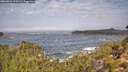 ./images/calvert/foggy-cove/20260921/foggy-cove20260921_110501M.jpg