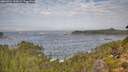 ./images/calvert/foggy-cove/20260921/foggy-cove20260921_111002M.jpg