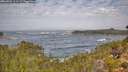 ./images/calvert/foggy-cove/20260921/foggy-cove20260921_111501M.jpg