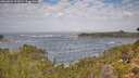 ./images/calvert/foggy-cove/20260921/foggy-cove20260921_112001M.jpg