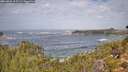 ./images/calvert/foggy-cove/20260921/foggy-cove20260921_113501M.jpg