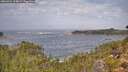./images/calvert/foggy-cove/20260921/foggy-cove20260921_114001M.jpg