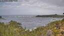 ./images/calvert/foggy-cove/20260921/foggy-cove20260921_114501M.jpg