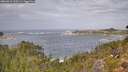./images/calvert/foggy-cove/20260921/foggy-cove20260921_120501M.jpg