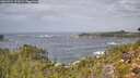 ./images/calvert/foggy-cove/20260921/foggy-cove20260921_121002M.jpg