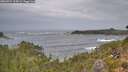 ./images/calvert/foggy-cove/20260921/foggy-cove20260921_125002M.jpg