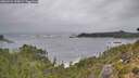 ./images/calvert/foggy-cove/20260921/foggy-cove20260921_135001M.jpg