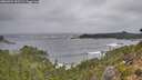 ./images/calvert/foggy-cove/20260921/foggy-cove20260921_135501M.jpg