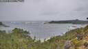 ./images/calvert/foggy-cove/20260921/foggy-cove20260921_141001M.jpg