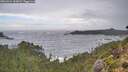 ./images/calvert/foggy-cove/20260921/foggy-cove20260921_143001M.jpg