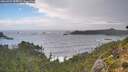 ./images/calvert/foggy-cove/20260921/foggy-cove20260921_144501M.jpg