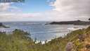 ./images/calvert/foggy-cove/20260921/foggy-cove20260921_145501M.jpg