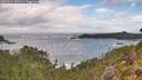 ./images/calvert/foggy-cove/20260921/foggy-cove20260921_151002M.jpg