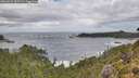 ./images/calvert/foggy-cove/20260921/foggy-cove20260921_152501M.jpg