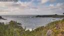 ./images/calvert/foggy-cove/20260921/foggy-cove20260921_163001M.jpg