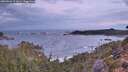./images/calvert/foggy-cove/20260922/foggy-cove20260922_072001M.jpg