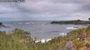 ./images/calvert/foggy-cove/20260922/foggy-cove20260922_074002M.jpg